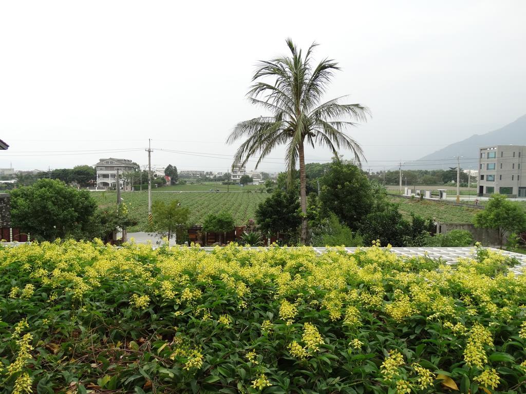 花蓮 達芙妮花園民宿 Ji’an Zewnętrze zdjęcie